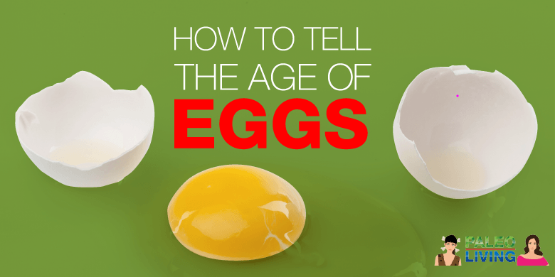 Paleo Food - Age Of Eggs
