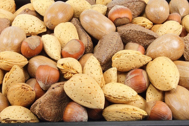 Paleo Food - Nuts & Seeds