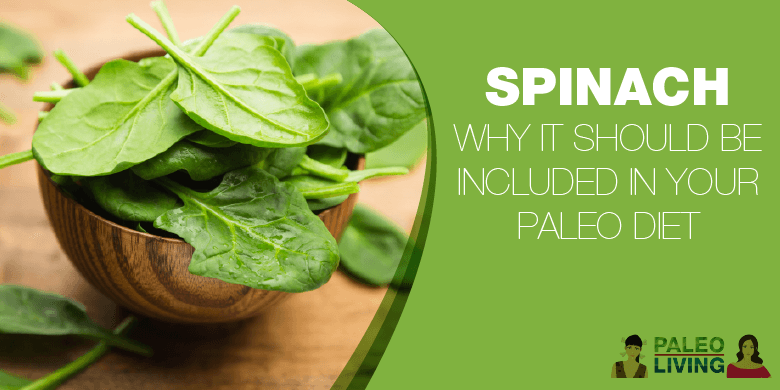 Spinach - Why Include In Paleo Diet