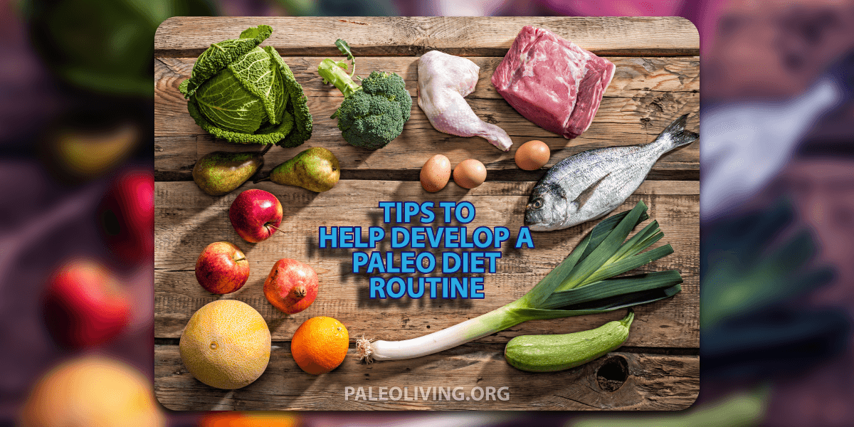 Tips To Help Develop A Paleo Diet Routine
