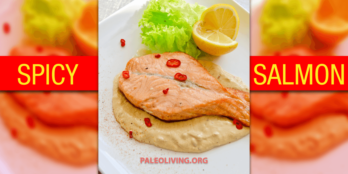 Spicy Salmon