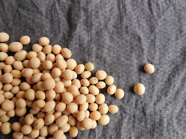 Paleo Food - Why Soy Is Bad For You